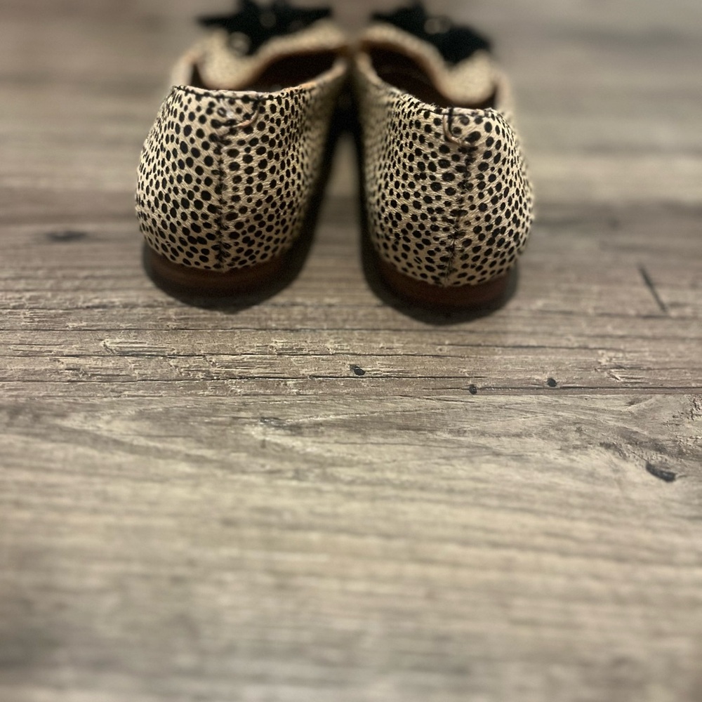 Sole Society Hadlee Dotted Leopard Print Hair Calf Tassel Loafers – Size 5 - Picture 4 of 12